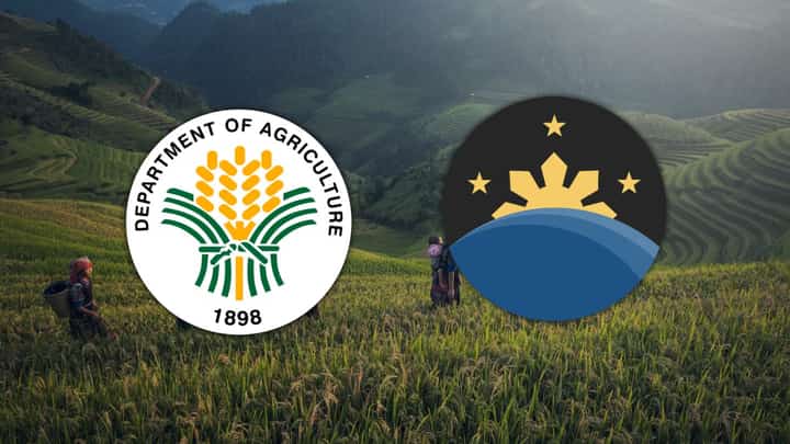 DA, PhilSA tap satellites for food security