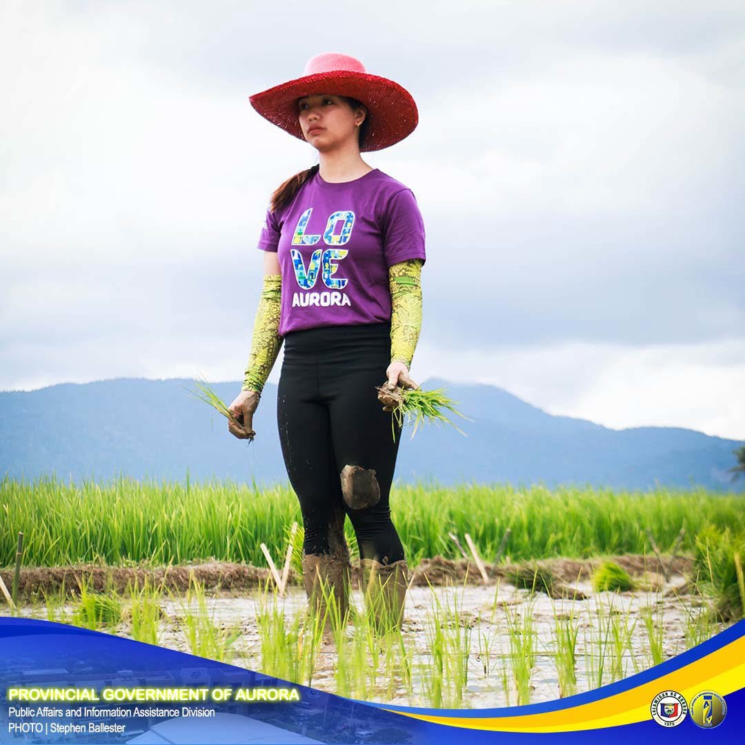 Rice Paddy Art to showcase image of Doña Aurora in honor of former president’s wife