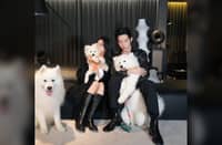 LUKE the fluffy dog star with his co-stars Flora and Luan Nian.