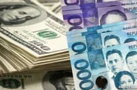 CONTINUED single-digit year-on-year growth in OFW remittances remains a bright spot for the overall economy; it is an important growth driver, especially in terms of consumer spending, which accounts for about 70 percent of the Philippine economy.
