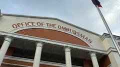 No personal knowledge of VP finances — Batu