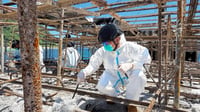 PCG completes search of MV June Aster cabins, crew areas