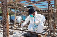 PCG completes search of MV June Aster cabins, crew areas