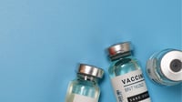 Potential new TB vaccines could save millions of lives