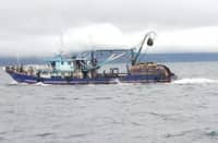 P10.9-M illegal fishing gear seized