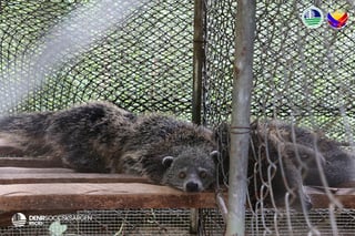 DENR checks rescued animals in Sultan Kudarat