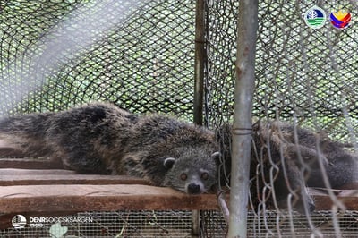 DENR checks rescued animals in Sultan Kudarat