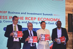 RCEP review puts business barriers in focus