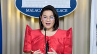 Castro calls Sara’s Palace bid ‘delusional’