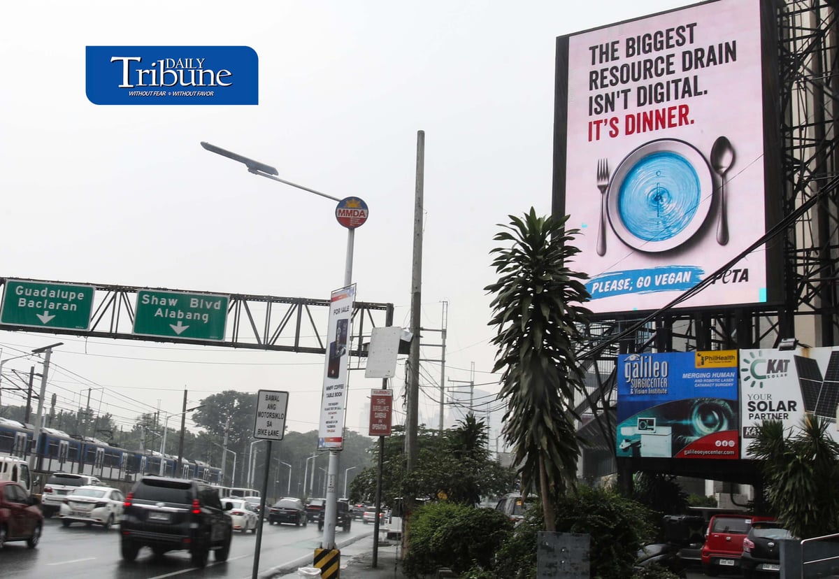Campaign billboard against pax silica
