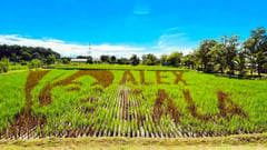 Eala honored with rice-paddy art