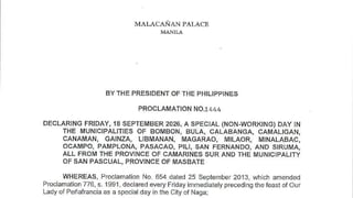 Camarines Sur towns declare special non-working day for Peñafrancia Festival