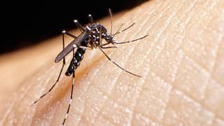 DOH flags 14 areas amid rise in dengue cases