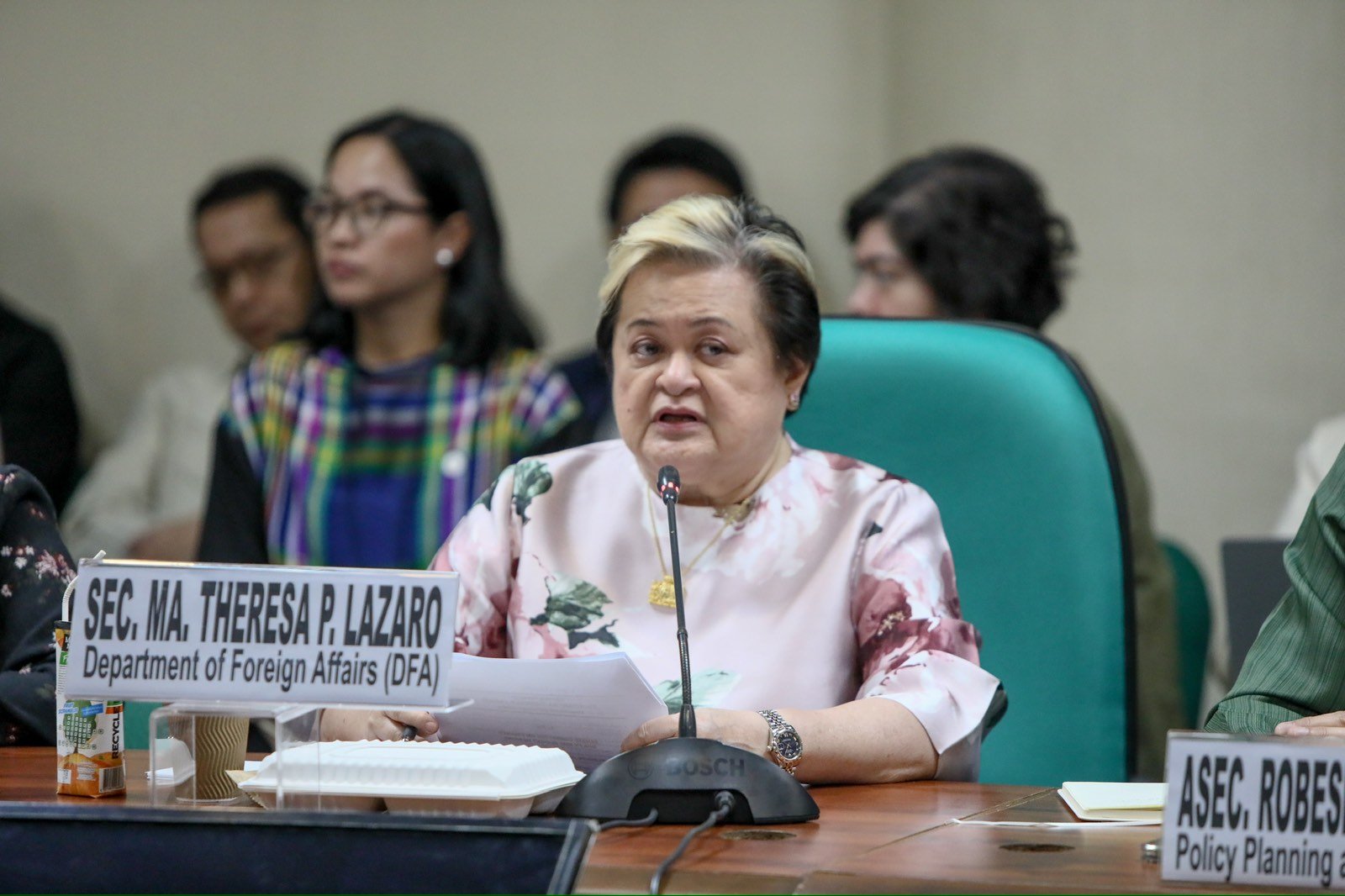 DFA cites EU privacy rules on Co, Roque asylum leads
