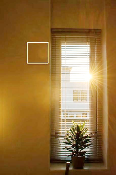 DIRECT morning sunlight, ideal for boosting your mood and productivity the moment you wake up.