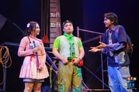 PETA puts democracy on stage
