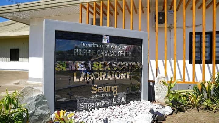 DA PCC opens semen sex-sorting lab in Nueva Ecija