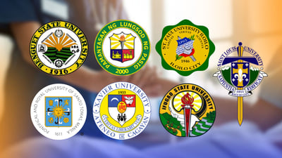 7 schools post 100% PNLE passing rate