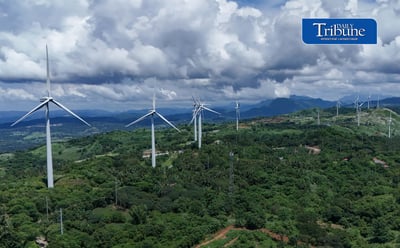 Windmill Farm Pililla Rizal