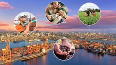 ICTSI: Momentum where it matters