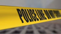 Law student falls to death