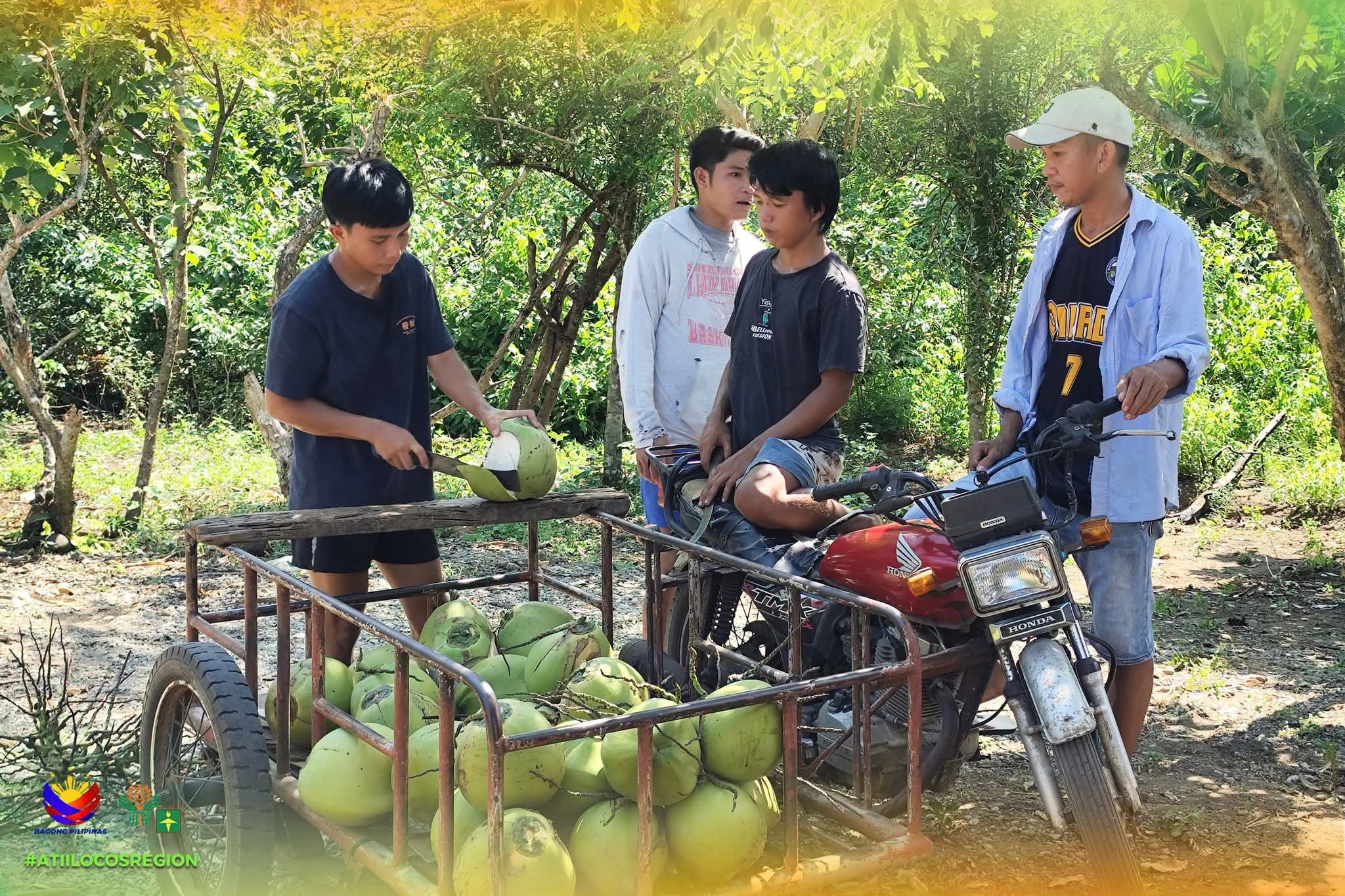 ATI-RTC 1 holds training for copra production, processing 