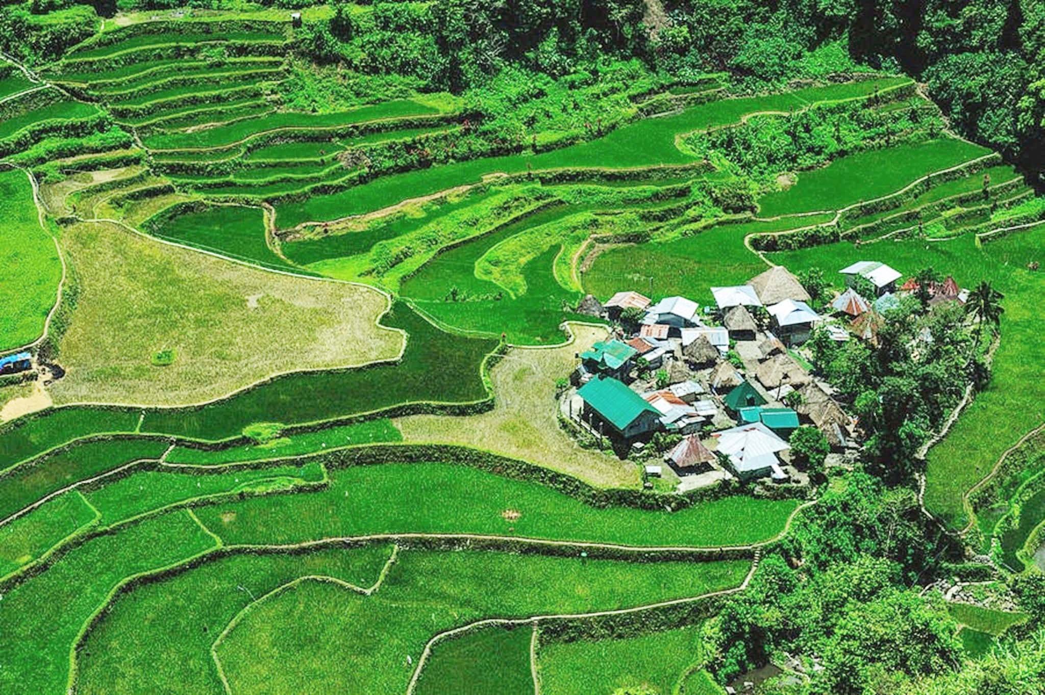 Banaue Rice Terraces investment, rehab, tourism plan in the works