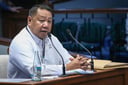 Sara did not step down as board member of Davao-based private firm after assuming VP: SEC witness