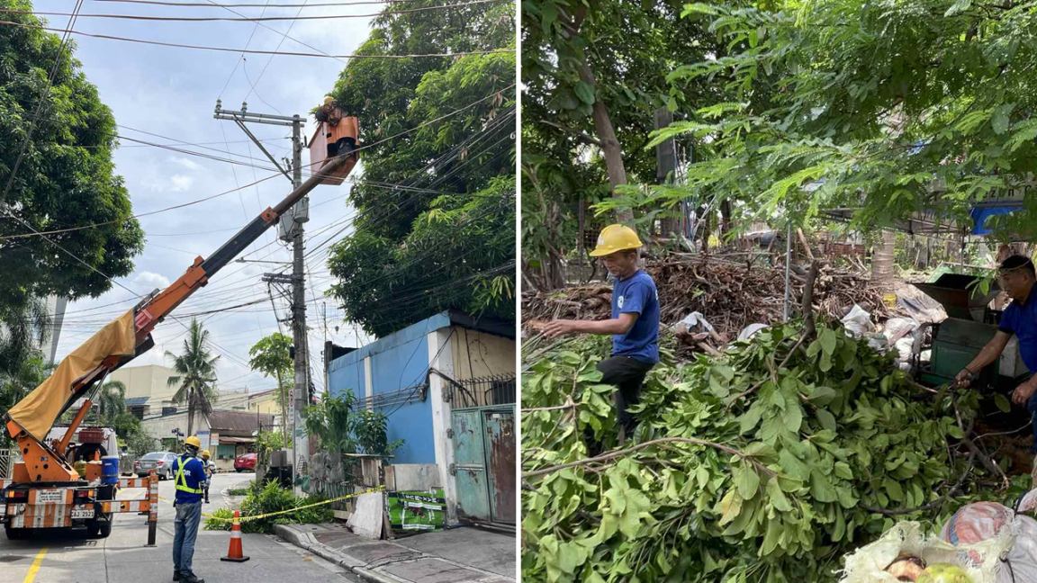 TREE trimmings from Meralco’s line clearing activities are transformed into organic compost in Barangay Talipapa, enriching soil and boosting crop yields while reducing waste through sustainable farming practices.