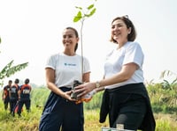 Aboitiz, GCash target 1M trees in Cebu

