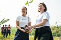 Aboitiz, GCash target 1M trees in Cebu