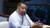 SEC defers board issue to Senate