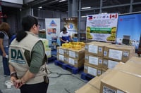 Phl ships first Carabao mangoes to Canada