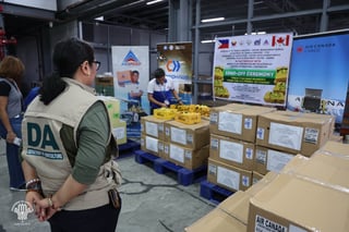 Phl ships first Carabao mangoes to Canada