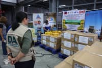 Phl ships first Carabao mangoes to Canada