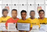 PRO-8 manhunt operations yield 277 wanted persons