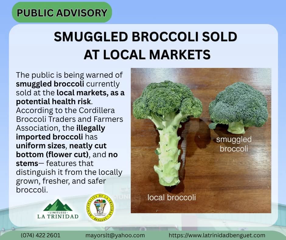 La Trinidad raises alarm over suspected smuggled broccoli