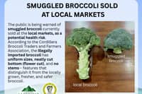 La Trinidad raises alarm over suspected smuggled broccoli