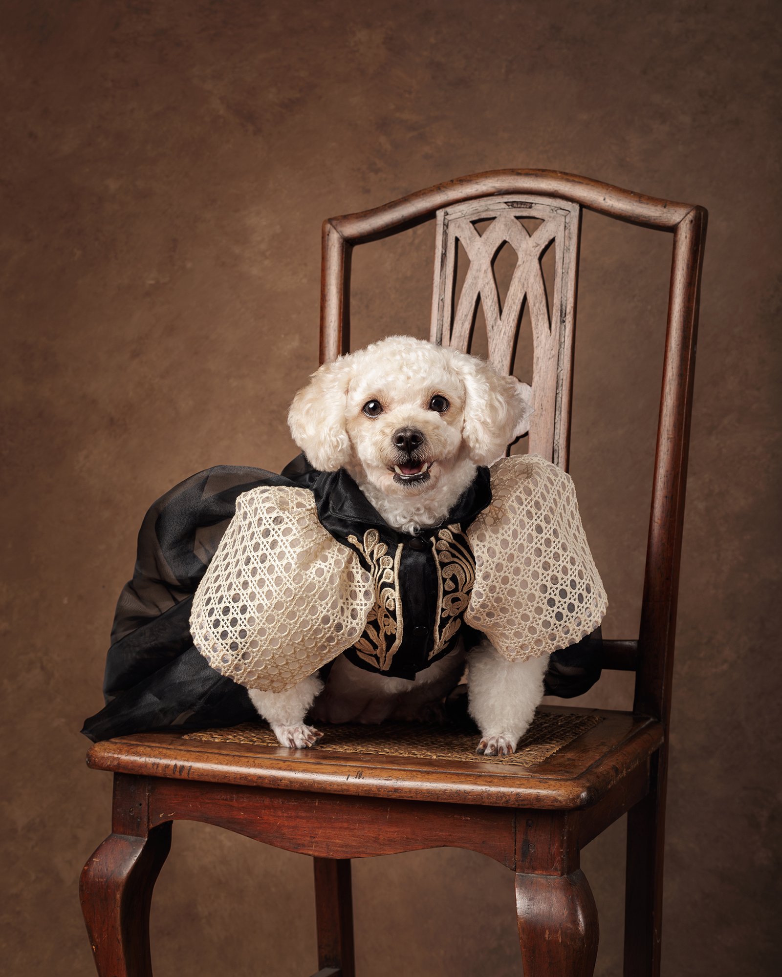 Filipiniana for pets