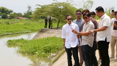 Incompetence made worse by indifference (1)