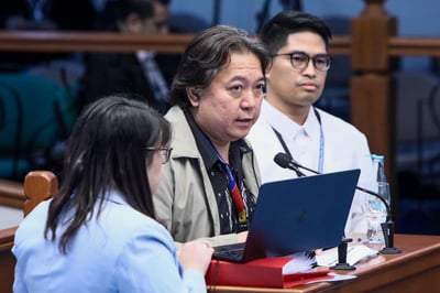 Firm linked to Sara bags nearly P36-M gov't contracts in Davao: PhilGEPS witness 