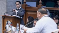SEC data came at solons’ request