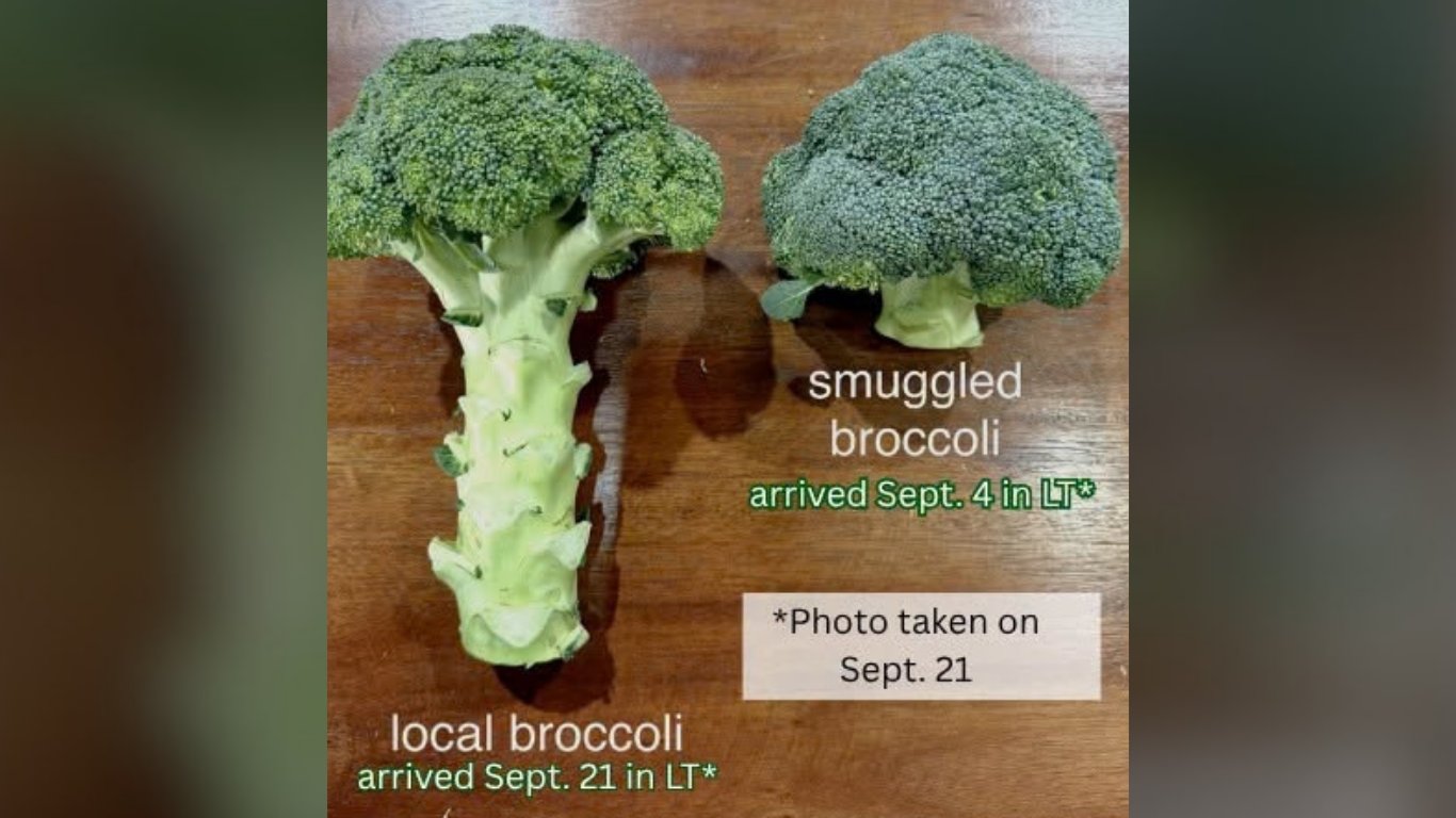 Task force confirms smuggled broccoli at Benguet trade centers