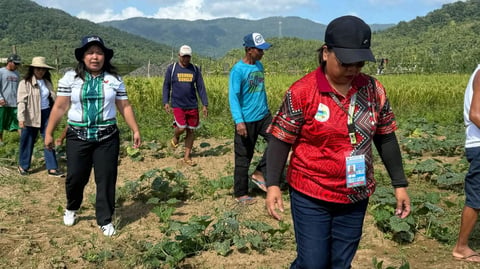 NIA-backed integrated farm project boosts Cadcadir farmers’ harvest
