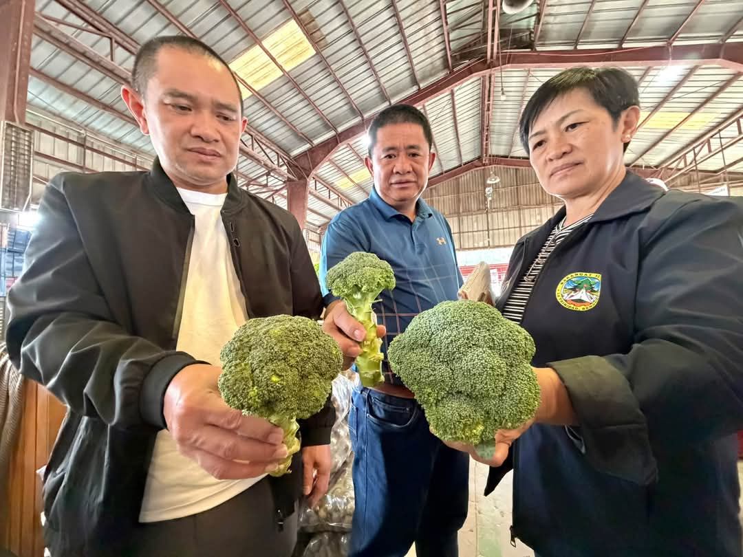 La Trinidad probe confirms smuggled broccoli in trading areas
