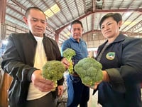 La Trinidad probe confirms smuggled broccoli in trading areas