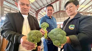 Mayor Roderick Awingan of La Trinidad, Benguet and other officials conduct an inspection at various vegetable trading sites of the municipality as investigation was launched on the alleged smuggling of broccoli. Photo Courtesy of Ofelia Empian/Mayor's Office of La Trinidad, Benguet