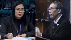 Respondent or accused: Diokno, Sison clash on VP Sara tag