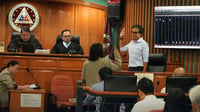 Dizon testifies in graft trial over P289.5-M Mindoro dike project