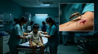 Aurora dengue cases surge 137% to 2,172